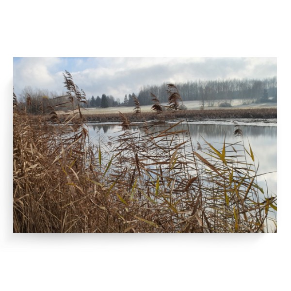 Fotoplátno 3:2 s potiskem Fotoplátno 3:2 CHKO Železné hory > NS Sobiňov