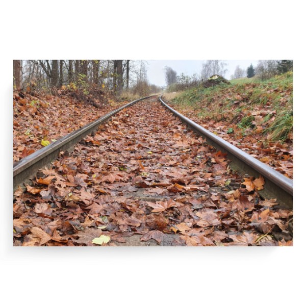 Fotoplátno 3:2 s potiskem Fotoplátno 3:2 stará trať