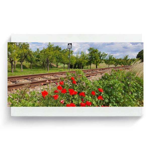 Fotoplátno 3:2 s potiskem Fotoplátno 3:2 Máky u trati